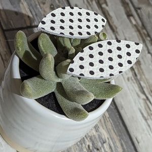 2 for $4 Item: Polka Dot Leather Hair Barrette Set New!